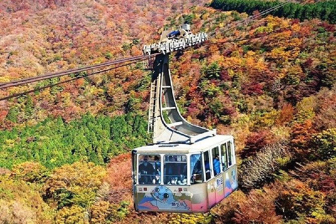 Mt Fuji & Hakone Cruise, Drum Show Bullet Train 1 Day from Tokyo - Weather is the central risk