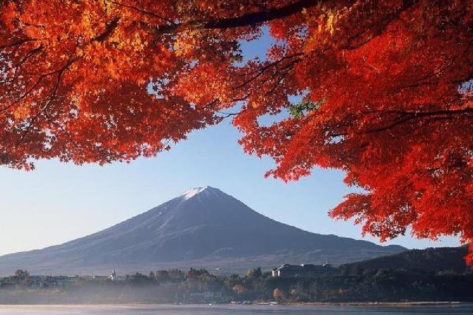 Mt Fuji & Hakone Cruise, Drum Show Bus 1 Day from Tokyo - The Komagatake Ropeway and Hakone Shrine Mototsumiya