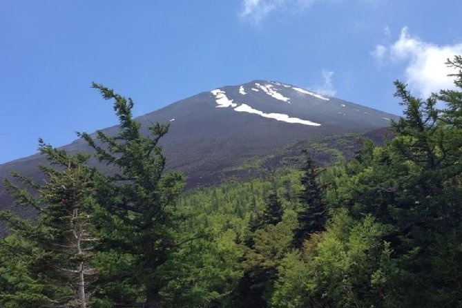 Mt Fuji & Hakone Cruise, Drum Show Bus 1 Day from Tokyo - The guides make a real difference
