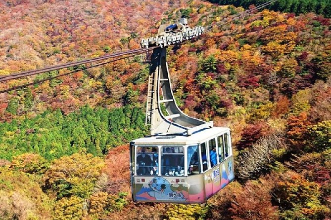 Mt Fuji & Hakone Cruise, Drum Show Bus 1 Day from Tokyo - Who should book this Fuji and Hakone day?