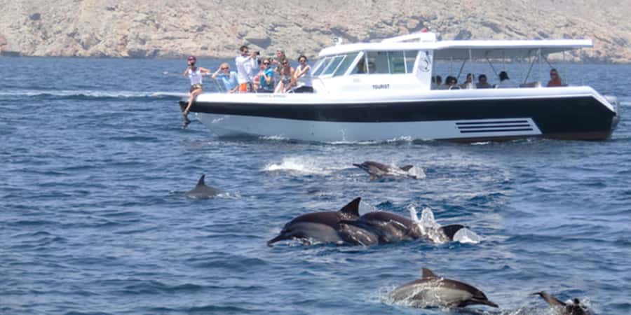 Muscat: Dolphin Watching Boat Tour - Quick take: the five details that matter most