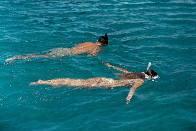 Mykonos: Brand-New Catamaran Cruise with Meal, Drinks & Transport - Delos from the water