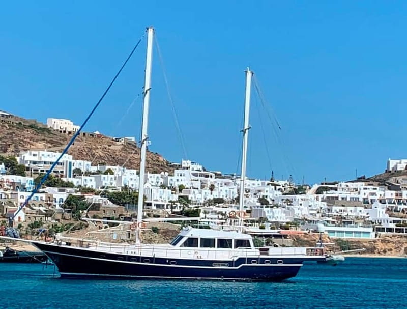 Mykonos: Delos and Rhenia Islands Cruise with BBQ Meal - Setting out from Agios Ioannis