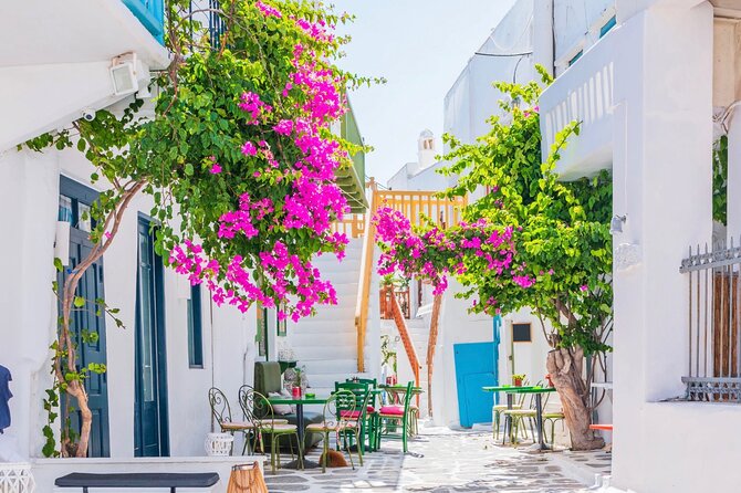 Mykonos: Small Group Tour for Cruise Passengers —Port Pickup - Elia and Kalafatis beaches