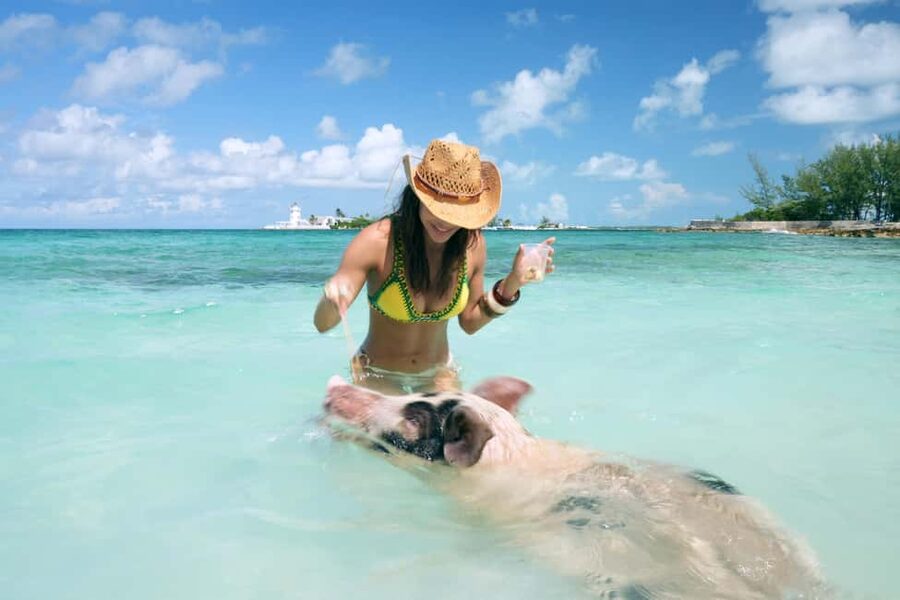 Nassau: Swimming Pigs, Snorkeling, Lunch, & Beach Boat Tour - Finding the Boat at Elizabeth on Bay