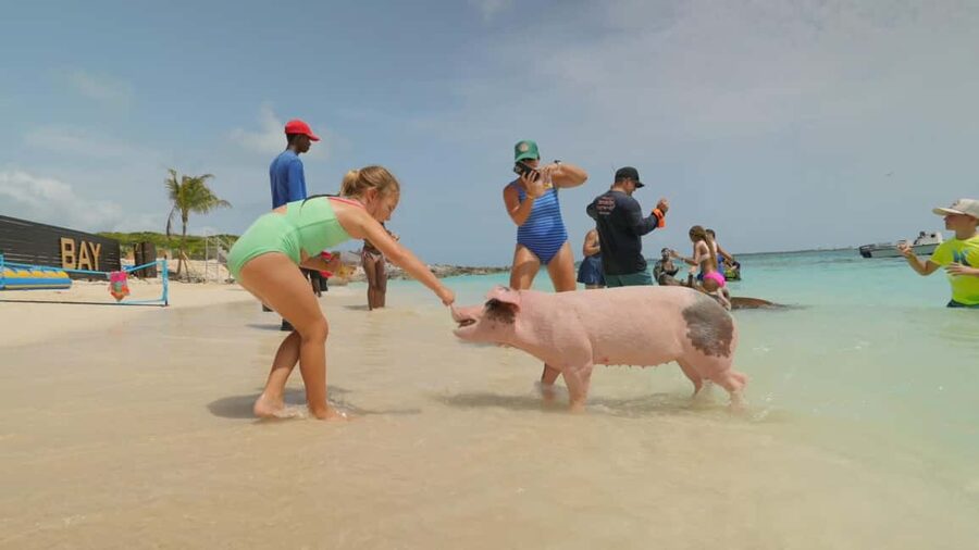 Nassau: Swimming Pigs, Snorkeling, Lunch, & Beach Boat Tour - The Return Through New Providence Waters