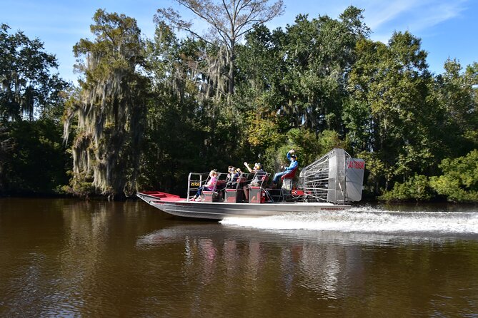 New Orleans Airboat Ride - Alligators, Birds, and Other Bayou Wildlife