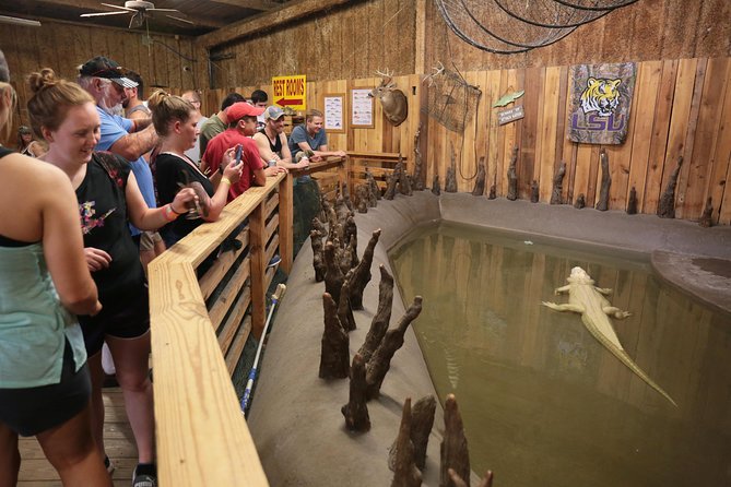 New Orleans Airboat Ride - Is the $59 Price Good Value?