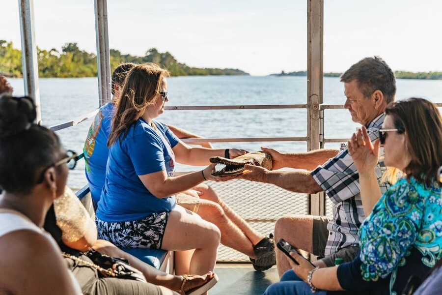 New Orleans: Guided Swamp Cruise by Tour Boat - Alligator sightings depend on the season