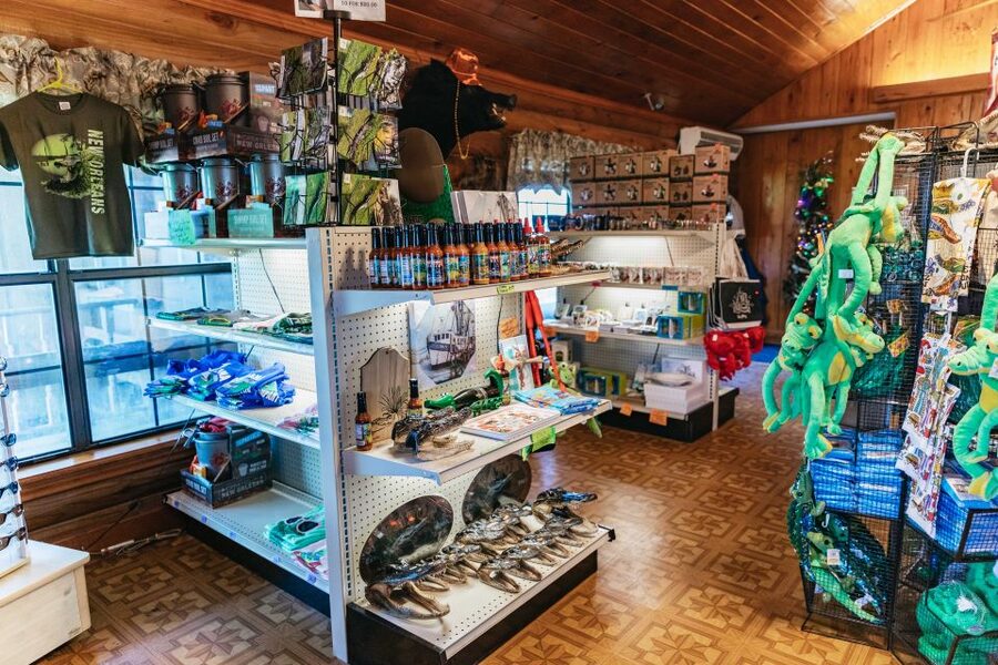 New Orleans: Guided Swamp Cruise by Tour Boat - Should you book the Louisiana swamp cruise?