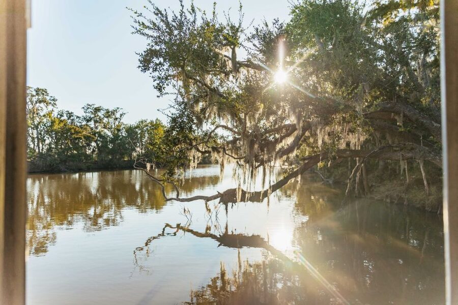 New Orleans: Guided Swamp Cruise by Tour Boat - A covered boat made for easy viewing