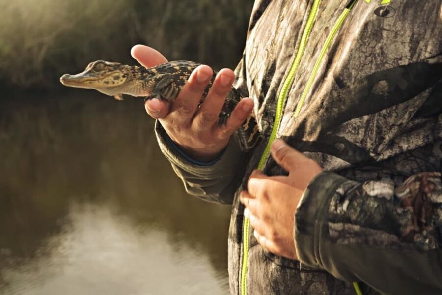 New Orleans: High Speed 16 Passenger Airboat Ride - Alligators, birds, and the luck factor