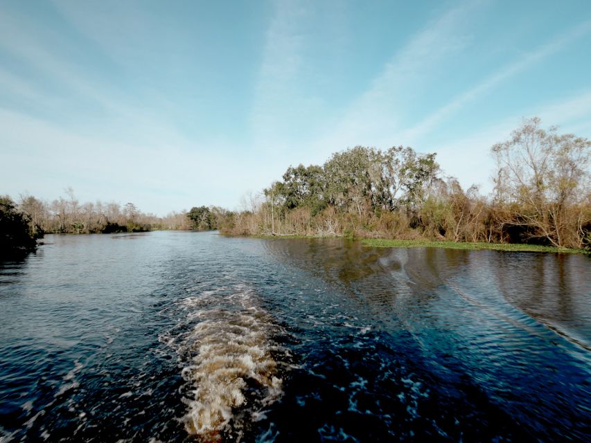 New Orleans: High Speed 16 Passenger Airboat Ride - What the 100-minute ride feels like