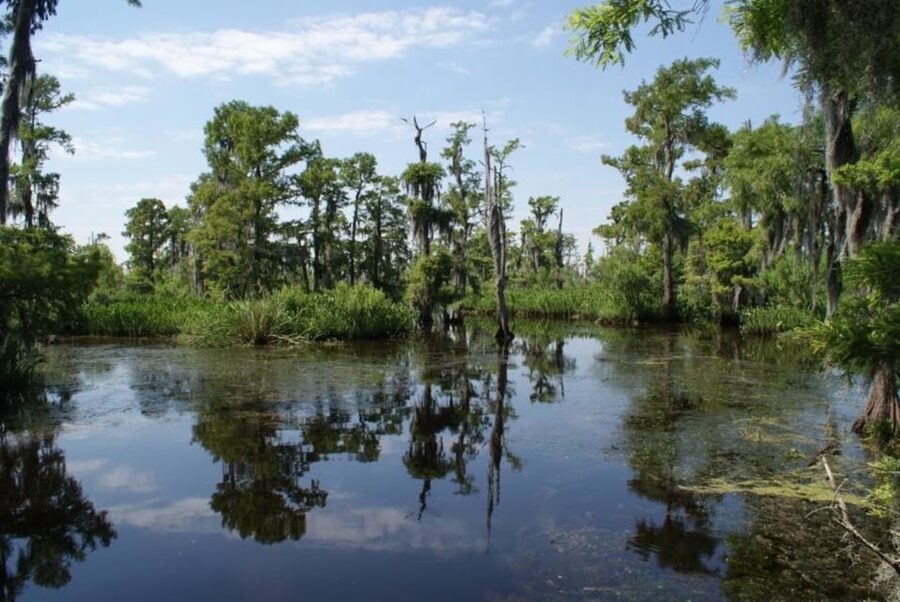New Orleans: High Speed 16 Passenger Airboat Ride - Why the 16-passenger boat works well