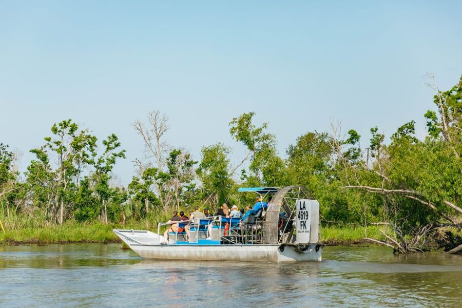 New Orleans: High Speed 9 Passenger Airboat Tour - Why leave the French Quarter for the swamp?