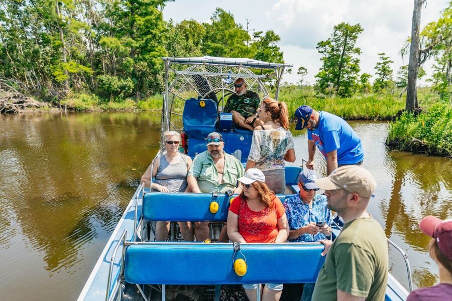 New Orleans: High Speed 9 Passenger Airboat Tour - Looking for alligators in the marsh