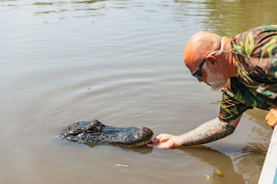New Orleans: High Speed 9 Passenger Airboat Tour - Is $89 a fair price?
