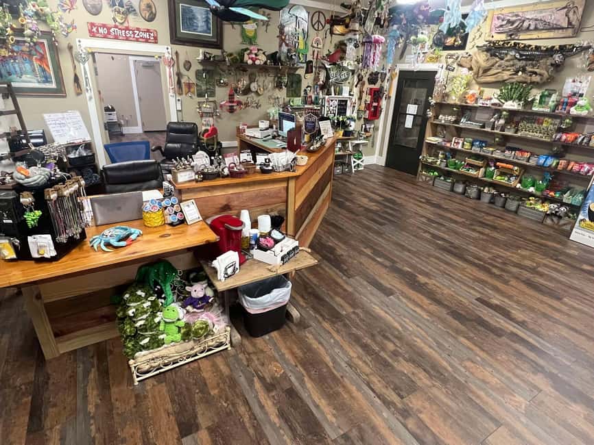 New Orleans Manchac Bayou Swamp Cruise W/ Optional Pick-Up - Wildlife sightings, from raccoons to alligators