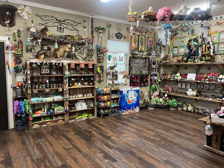 New Orleans Manchac Bayou Swamp Cruise W/ Optional Pick-Up - Frenier, wetlands, and local stories