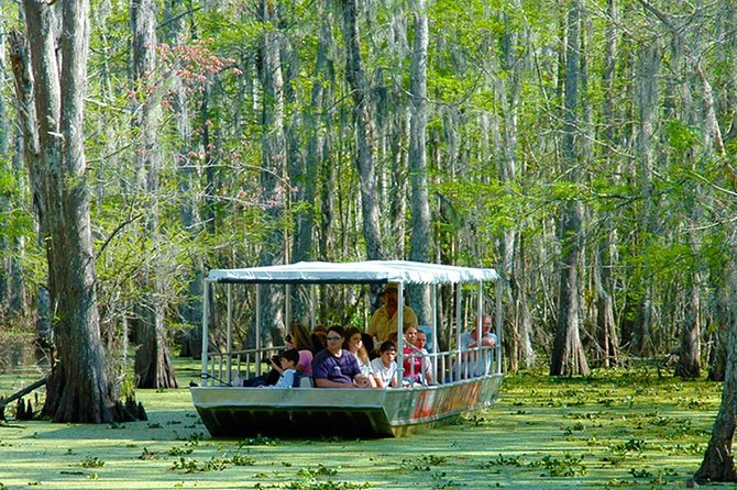 New Orleans Self-Transport Swamp and Bayou Boat Tour - Boarding the 22-passenger flat-bottom boat