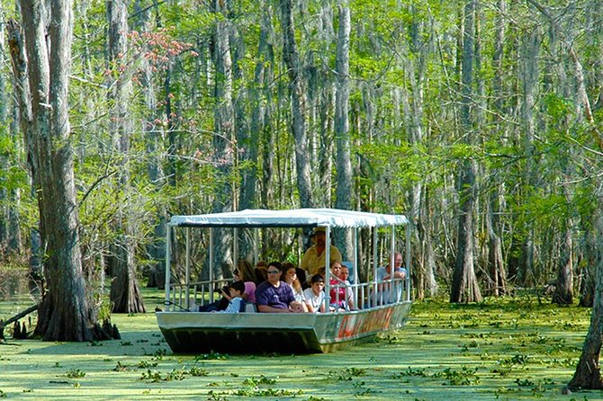 New Orleans Swamp and Bayou Boat Tour with Transportation - Is $70.12 a fair price?