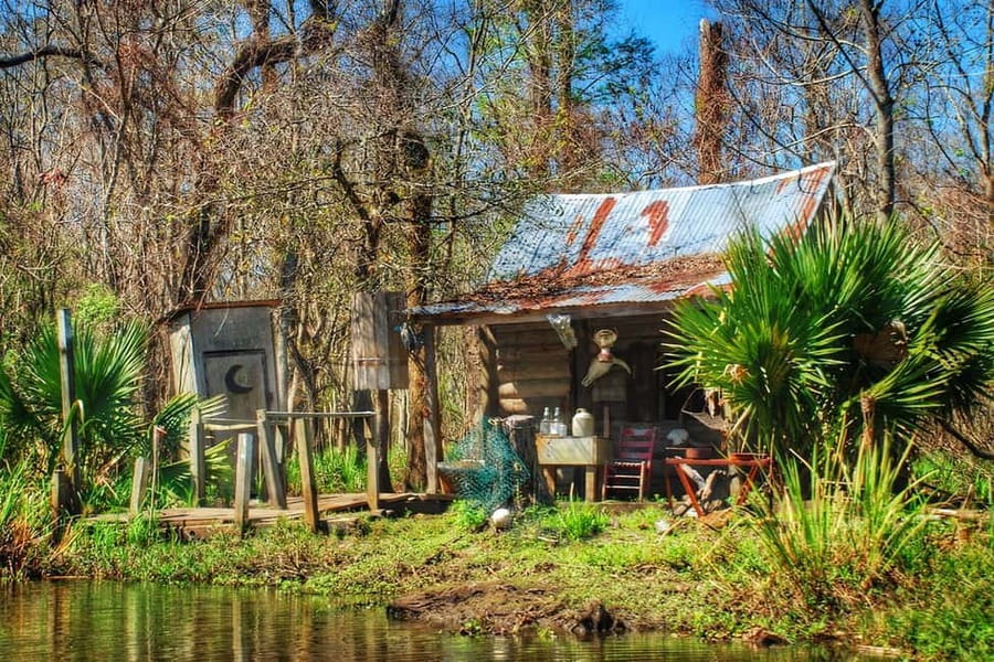 New Orleans: Swamp Boat Ride & Oak Alley Plantation Tour - Accessibility and practical limits
