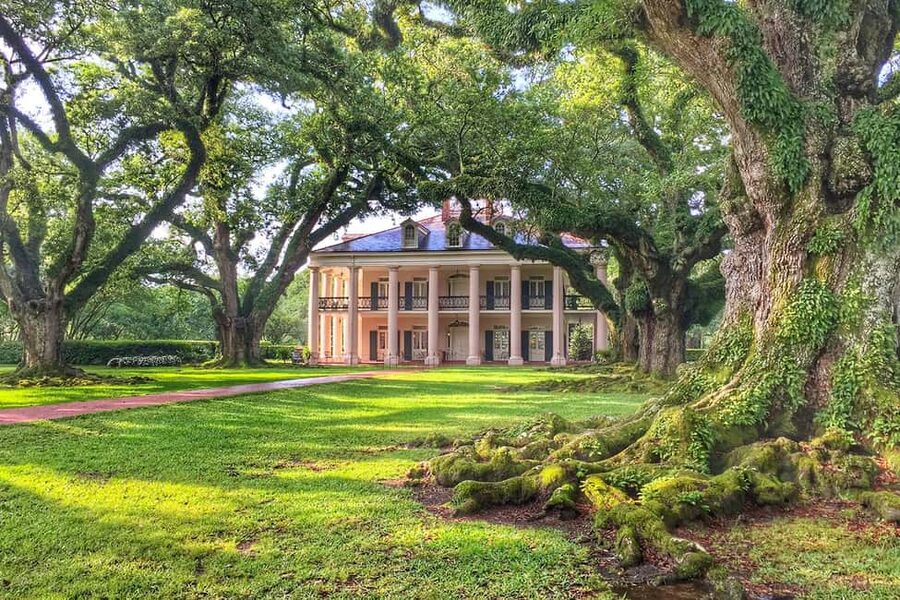 New Orleans: Swamp Boat Ride & Oak Alley Plantation Tour - Meeting the coach at Toulouse Street