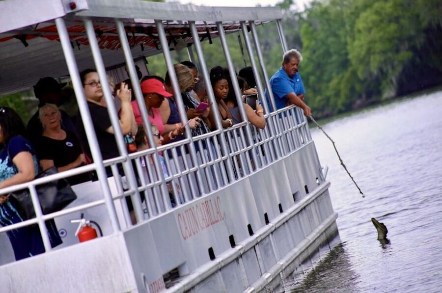 New Orleans: Swamp Tour on Covered Pontoon Boat - Who should choose this swamp tour?