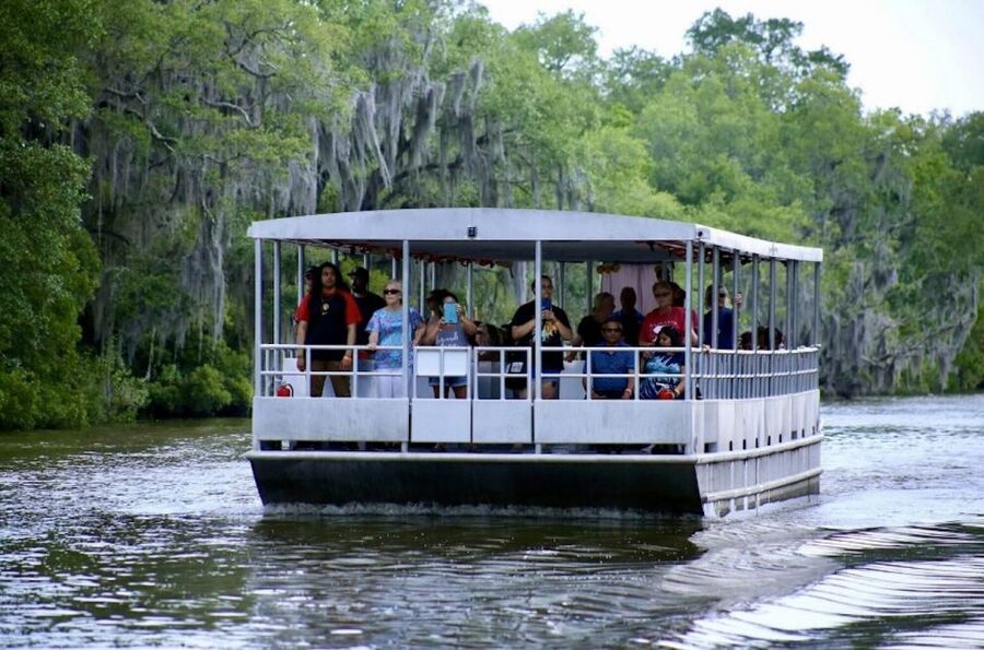 New Orleans: Swamp Tour on Covered Pontoon Boat - Into 20,000 acres of cypress swamp
