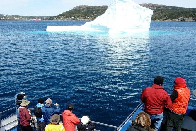Newfoundland Puffin and Whale Watch Cruise - Boarding the Gaffer VI catamaran