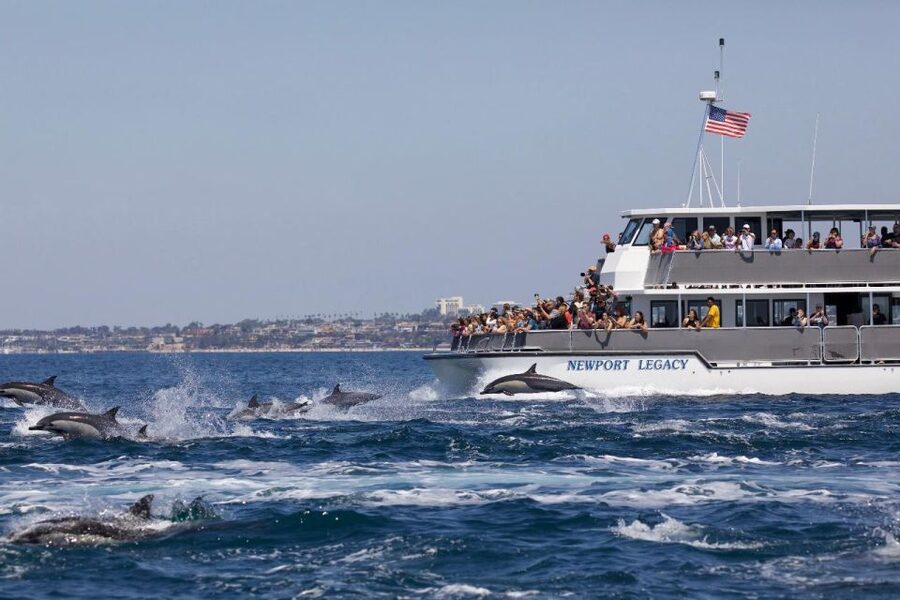 Newport Beach: Whale and Dolphin-Watching Cruise - Balboa Island and the first coastal views