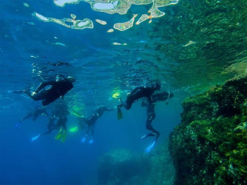 Nice: Snorkeling Speedboat Tour in Villefranche Bay - Starting at Chango Diving in the Port of Nice