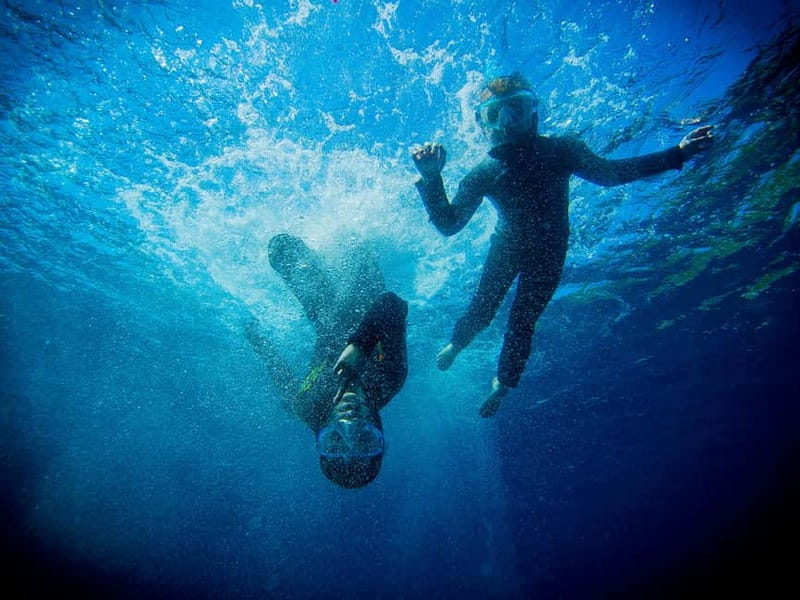 Nice: Snorkeling Speedboat Tour in Villefranche Bay - One hour of snorkeling in Villefranche-sur-Mer