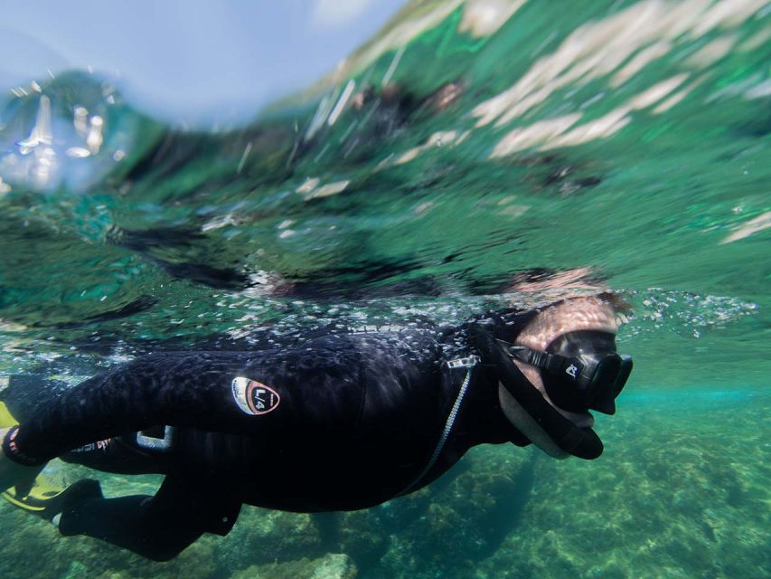 Nice: Snorkeling Speedboat Tour in Villefranche Bay - Jellyfish, waves, and other practical realities