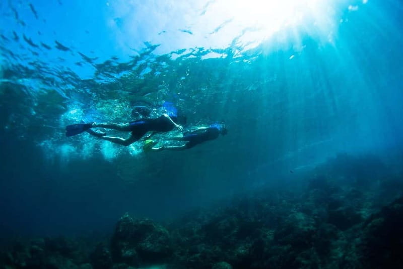 Nice: Snorkeling Speedboat Tour in Villefranche Bay - Who will enjoy this Nice snorkeling trip?