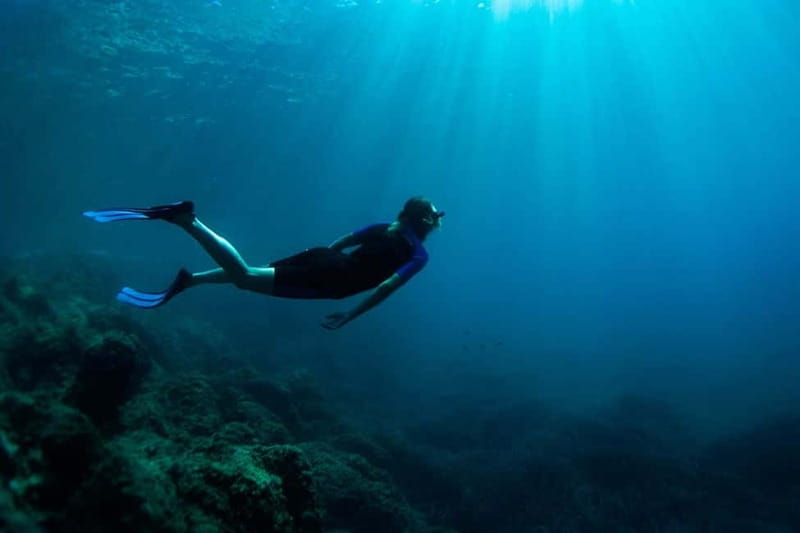 Nice: Snorkeling Speedboat Tour in Villefranche Bay - My verdict: book it for the water, not a wildlife guarantee