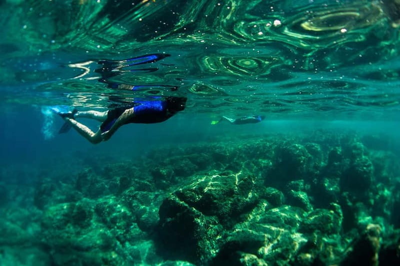 Nice: Snorkeling Speedboat Tour in Villefranche Bay - The 10 to 15 minute speedboat ride across the bay