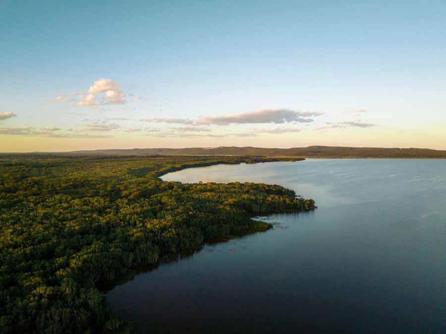 Noosa: Afternoon Cruise through the Noosa Everglades - Cruising the River of Mirrors