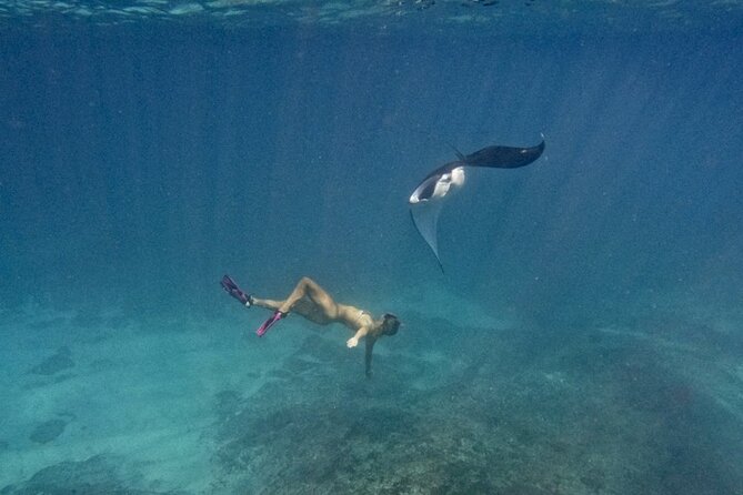 Nusa Penida day trip: boat, 4 snorkeling, Manta rays & Land tour - Mangrove Point: an easy start with a long drift