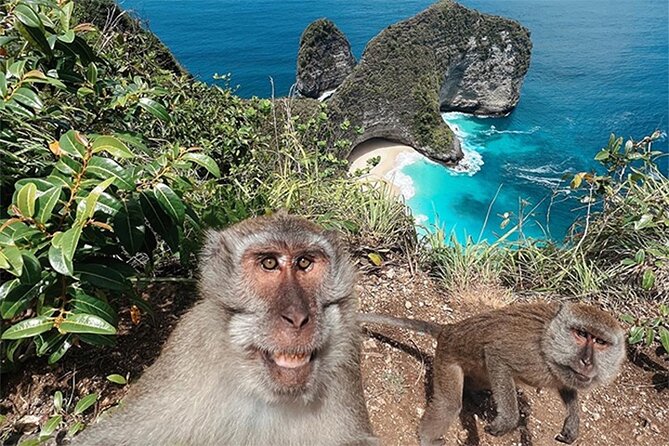 Nusa Penida day trip: boat, 4 snorkeling, Manta rays & Land tour - Wall Bay: the reef stop before the big finale