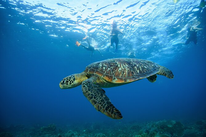 Nusa Penida day trip: boat, 4 snorkeling, Manta rays & Land tour - What the $78 price really covers