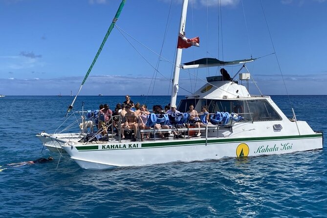 Oahu Catamaran Snorkel Tour: See Turtles 100% Guaranteed - Who will enjoy this tour most
