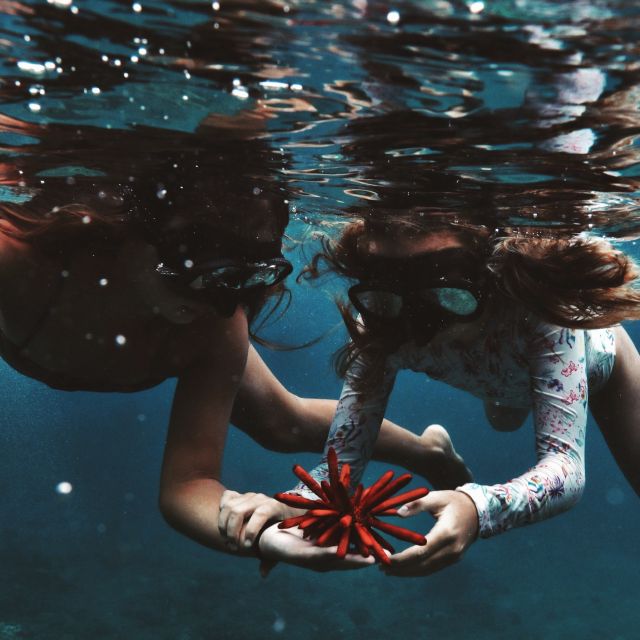 Oahu: Turtle Canyon Snorkeling Boat Tour - Key points to know before you book