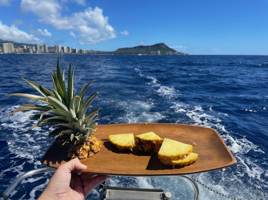 Oahu: Turtle Canyon Snorkeling Boat Tour - Who should book this Turtle Canyon tour?