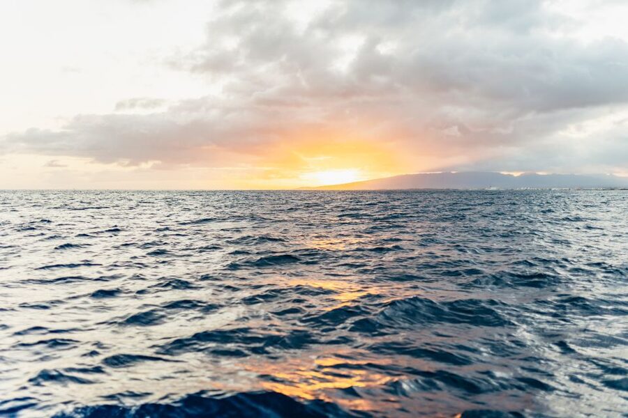 Oahu: Waikiki Sunset Catamaran Cocktail Cruise - Setting out from Kewalo Basin Harbor