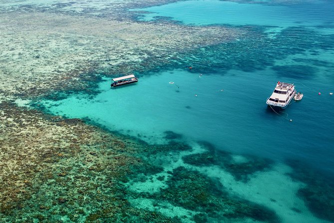 Ocean Freedom Great Barrier Reef Luxury Snorkel and Dive Cruise - From Cairns to the outer reef