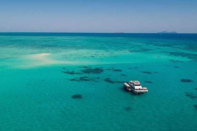 Ocean Freedom Great Barrier Reef Luxury Snorkel and Dive Cruise - Snorkeling help for beginners