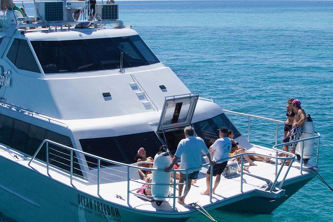 Ocean Freedom Great Barrier Reef Luxury Snorkel and Dive Cruise - Lunch, snacks, and the practical comforts