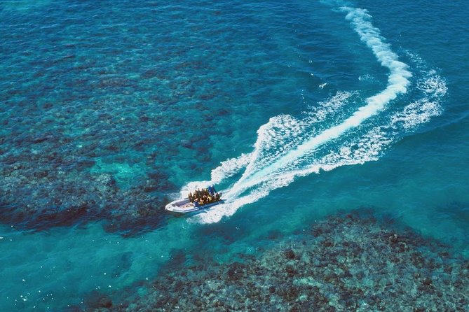 Ocean Freedom Great Barrier Reef Luxury Snorkel and Dive Cruise - What $181.28 buys you