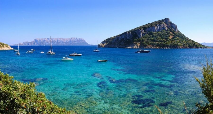 Olbia: Dolphin Watching and Snorkeling Boat Tour - Watching dolphins near the fish farm